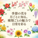 季節の花を月ごとに知る。種類ごとの魅力で日常を彩る