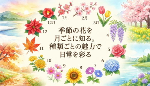 季節の花を月ごとに知る。種類ごとの魅力で日常を彩る