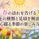 春の訪れを告げる花の種類と見頃を解説。心躍る季節の楽しみ方