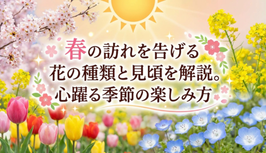 春の訪れを告げる花の種類と見頃を解説。心躍る季節の楽しみ方
