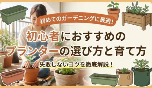 初めてのガーデニングに最適！初心者におすすめのプランターの選び方と育て方