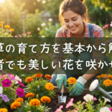 一年草の育て方を基本から解説!初心者でも美しい花を咲かせよう