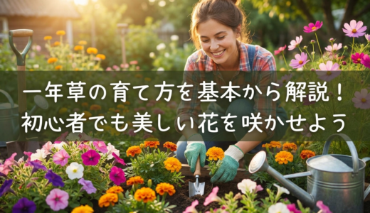 一年草の育て方を基本から解説！初心者でも美しい花を咲かせよう