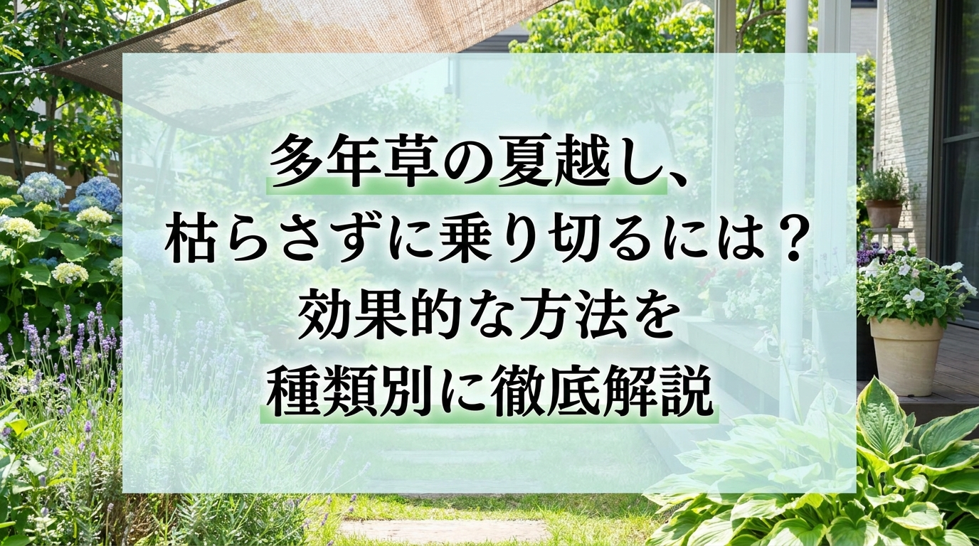 多年草の夏越し、枯らさずに乗り切るには？効果的な方法を種類別に徹底解説