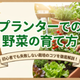 プランターでの野菜の育て方を知ろう。初心者でも失敗しない栽培のコツを徹底解説!