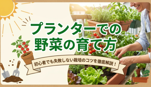プランターでの野菜の育て方を知ろう。初心者でも失敗しない栽培のコツを徹底解説！