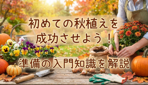 初めての秋植えを成功させよう！準備の入門知識を解説